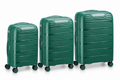Delsey Paris Securitech Dune Hardside 3-Piece Spinner Luggage Set - Green