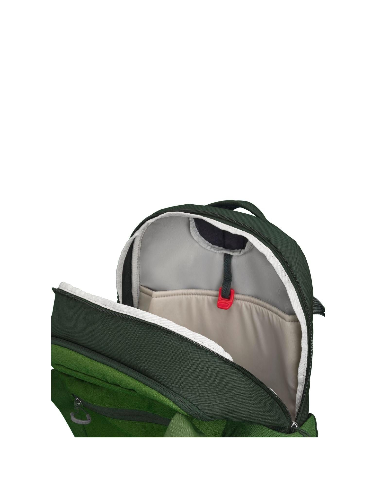 Osprey Daylite Plus Everyday Commute Backpack 20L Green Interior Back Image 4
